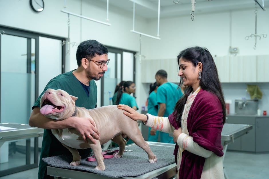 A vet examines a dog with its owner at a veterinary clinic.