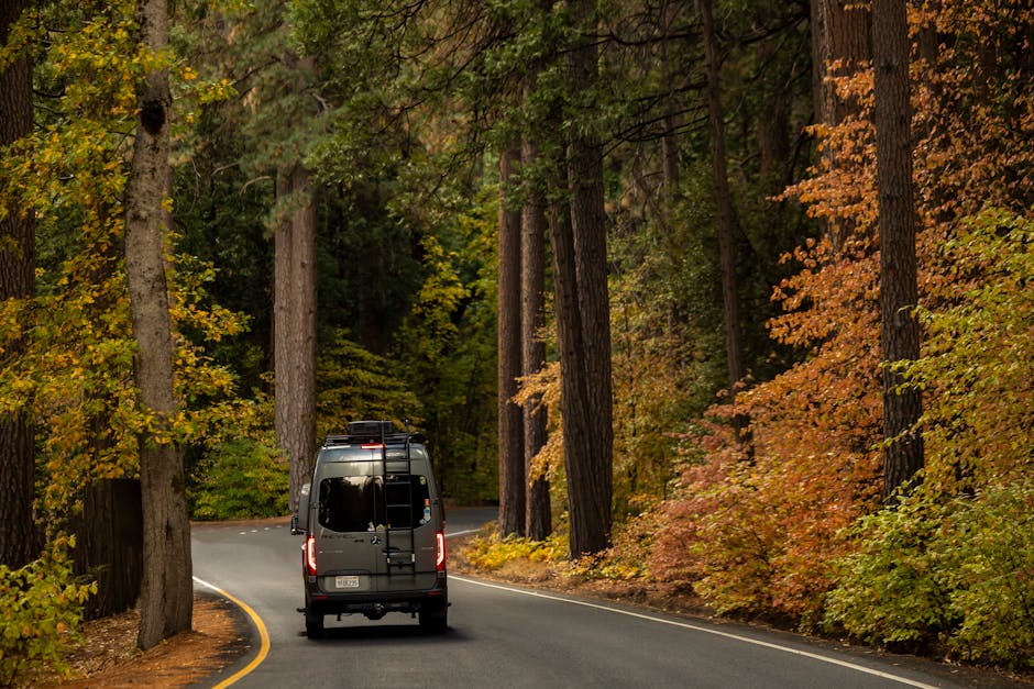 A camper van travels down a winding road surrounded by vibrant autumn foliage.
