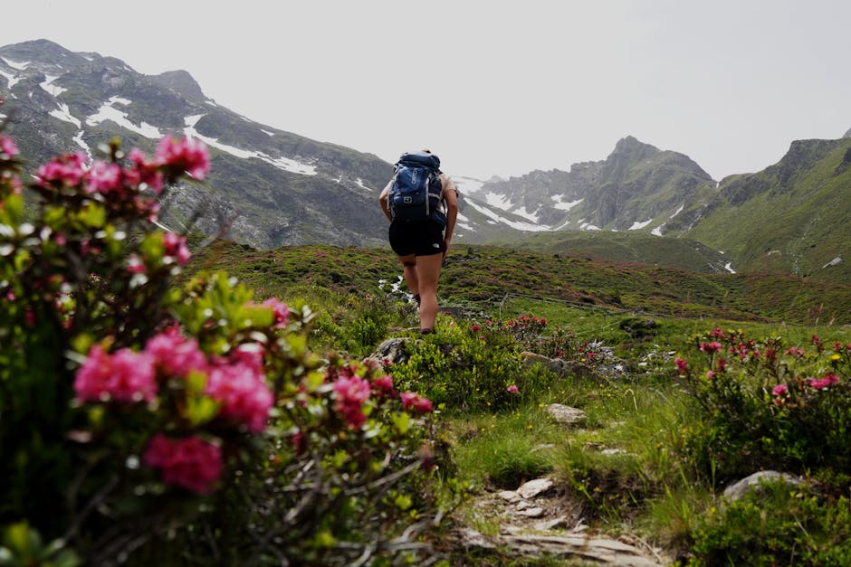 A lone hiker with a backpack traversing a scenic alpine path surrounded by blooming flowers.