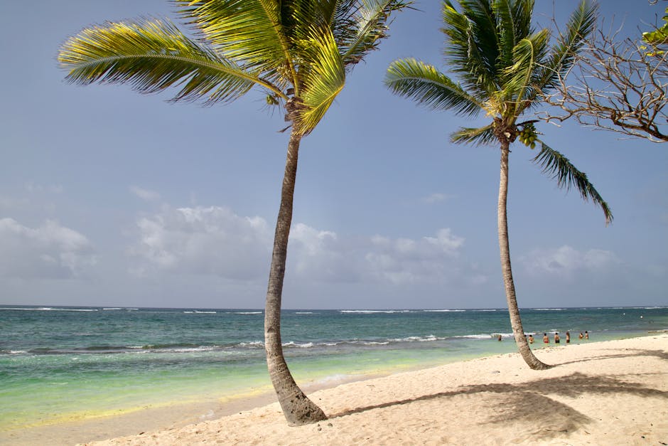 Serene tropical beach scene with palm trees and clear blue sea under a sunny sky.